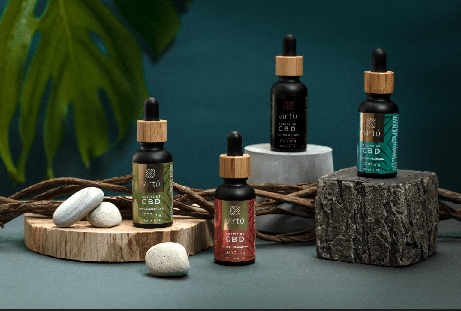 橄欖油包裝設計 橄欖油包裝設計