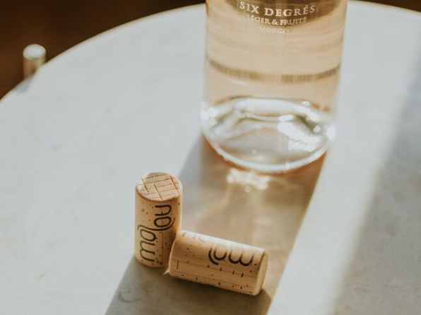 瓶塞密封裝置創(chuàng)新設(shè)計 瓶塞密封裝置創(chuàng)新設(shè)計