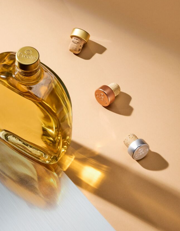 瓶塞密封裝置創(chuàng)新設(shè)計 瓶塞密封裝置創(chuàng)新設(shè)計